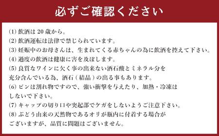 甘口づくし ハーフ 360ml×12本セット 生ワイン 飲み比べ
