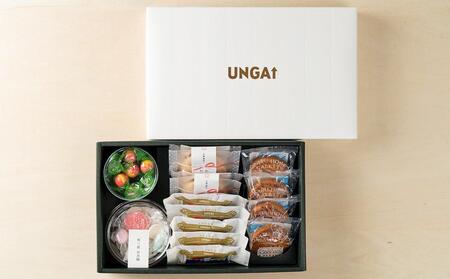 【ギフト用】【小樽美味撰B】小樽百貨UNGA↑が贈る「和三盆と焼菓子よくばりセット」