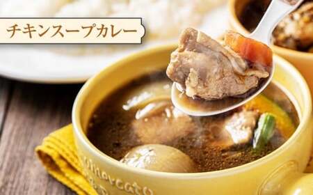 北海道 スープカレー セット 2種類(シーフード・チキン) 各300g×3個