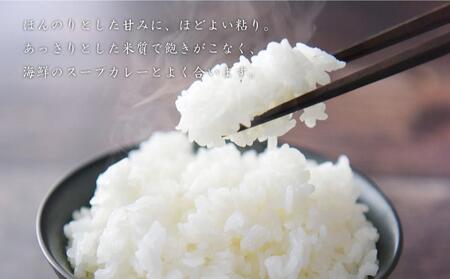 北海道 スープカレー & ライス セット （シーフード・チキン）2セット