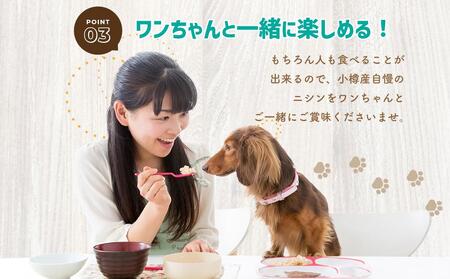 【犬のおやつ】厳選小樽産 パックンニシン 150g (50g×3袋) ドッグフード 犬用 犬 ペットフード おやつ