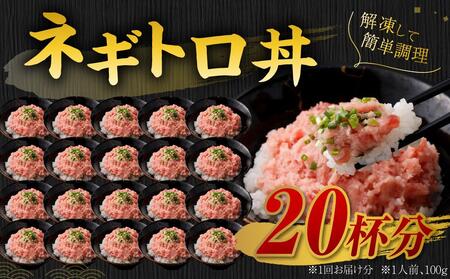 【2回定期便】ネギトロ まぐろたたき 合計2kg