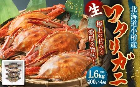 北海道 小樽市産 ワタリガニ 1.6kg （400g×4尾） 蟹 かに ワタリ蟹