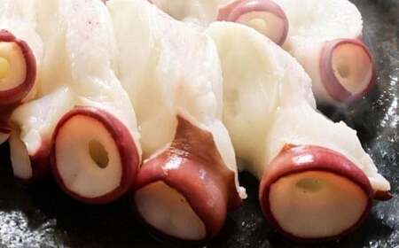 【2回定期便】北海 水だこ 頭・足 セット 約3kg 合計約6kg たこ タコ 蛸 冷凍だこ 冷凍蛸