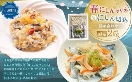 春にしんマリネ （1kg） ・ にしん切込 （1kg） 詰合せ 計2kg 鰊 にしん ニシン 春ニシン 新鮮 春獲れ マリネ 切込み 冷凍 9,125円