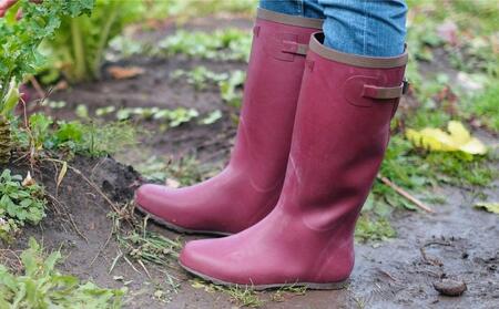 ウェリー #5 (ワイン) SSサイズ（23cm）