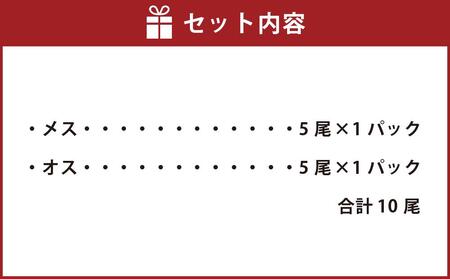 ボイル しゃこ オス・メス 合計10尾 （各5尾）