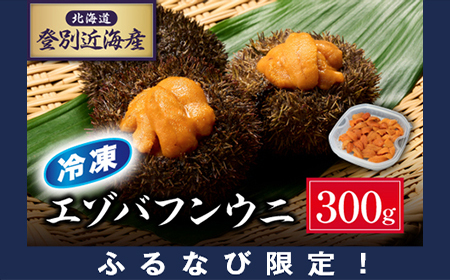 【ふるなび限定】北海道登別近海産エゾバフンウニ（冷凍パック）300g【ウニ ｳﾆ うに 雲丹 ｴｿﾞﾊﾞﾌﾝｳﾆ エゾバフンウニ バフンウニ ﾊﾞﾌﾝｳﾆ 冷凍 冷凍うに 冷凍ウニ 冷凍ｳﾆ】FN-Limited