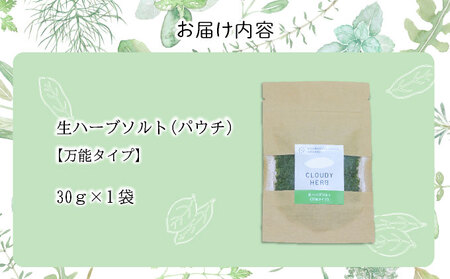 手摘み生ハーブソルト　万能タイプ30g×1袋 bh-0808
