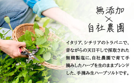 手摘み生ハーブソルト　肉料理用30g×1袋 bh-0809