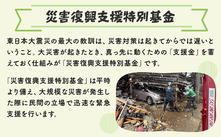日本財団災害復興支援特別基金への寄附【災害支援】（返礼品なし）【MRI-AiD】【寄付額：1000円】