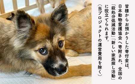 日本動物愛護協会殺処分低減活動への寄附【犬猫殺処分ゼロ】(返礼品なし)【MRI-AiD】【寄付額:2万円】【pr-0902-5】