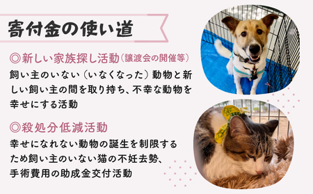 日本動物愛護協会殺処分低減活動への寄附【犬猫殺処分ゼロ】(返礼品なし)【MRI-AiD】【寄付額:2万円】【pr-0902-5】