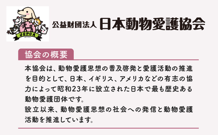 日本動物愛護協会殺処分低減活動への寄附【犬猫殺処分ゼロ】(返礼品なし)【MRI-AiD】【寄付額:2万円】【pr-0902-5】