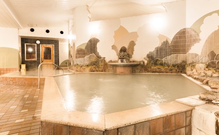 日帰り入浴券12枚つづりセット(夢元さぎり湯)