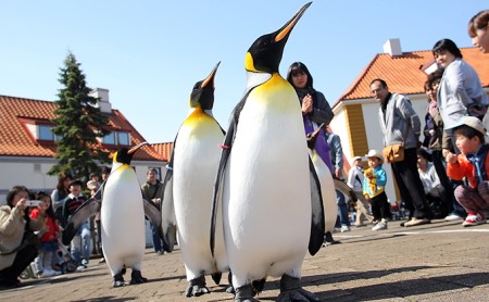 登別マリンパークニクス入園券とレストラン・売店利用券 1名分
