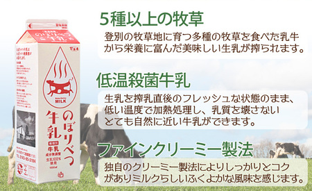 登別牛乳カステラ2本