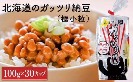 北海道のガッツリ納豆極小粒 100g×3個×10袋(合計30カップ) たれなし 特大カップ 大容量 北海道産 国産 くま納豆