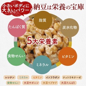 北海道くま納豆ひきわりミニカップ 30個