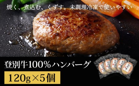 「登別牛100％使用ハンバーグ 120g×5個」