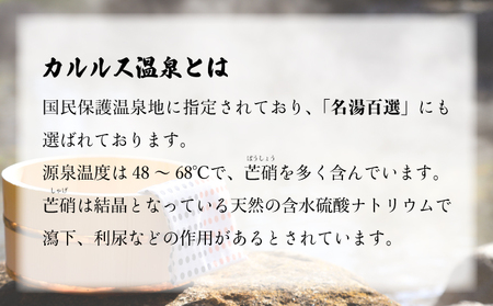 登別カルルス温泉　鈴木旅館　日帰り入浴券（11枚綴り）