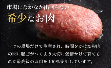 肉のあさひ 登別牛100％使用ハンバーグ 120g×5個[全5回お届け]