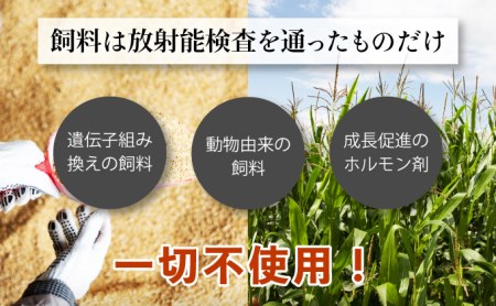 肉のあさひ 登別牛100％使用ハンバーグ 120g×5個[全5回お届け]