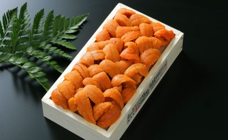 極上エゾバフンウニ折詰100g・塩水パック100g食べ比べセット B：6月上旬から9月上旬迄