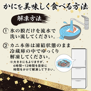 訳あり ズワイガニ 爪 600g 冷凍 ボイル　ずわいがに ずわい蟹 カニ かに 蟹 しゃぶしゃぶ カニしゃぶ  サイズ違い 不揃い 規格外 