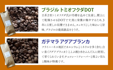 自家焙煎 コーヒー豆 オリジナルブレンド 100g×3個セット 300g