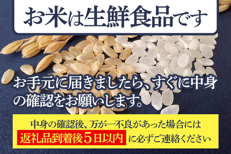 【無洗米】＜令和8年産 新米予約＞《定期便2ヶ月》秋田県産 あきたこまち 20kg (5kg×4袋) ×2回 20キロ お米 匠 