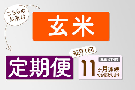 【玄米】＜令和8年産 新米予約＞ 《定期便11ヶ月》秋田県産 あきたこまち 5kg (5kg×1袋)×11回 5キロ お米 匠 
