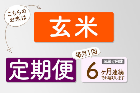 玄米 《定期便6ヶ月》令和5年産 秋田県産 あきたこまち 10kg お米