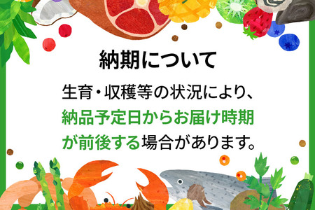 母さんのおすすめセット〜季節の野菜詰め合わせ〜