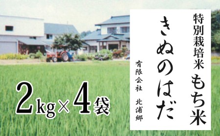 仙北市産 もち米 2kg×4袋(合計:8kg)