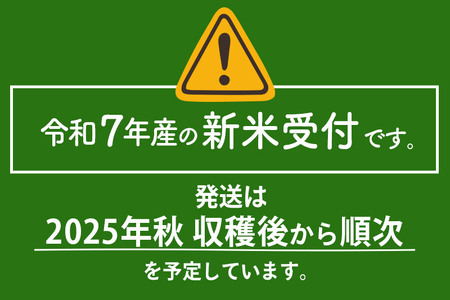 〈令和7年産〉《定期便10ヶ月》【白米】サキホコレ 5kg (5kg×1袋) 秋田県産 特別栽培米 令和7年産 お米 毎月・隔月お届けも可