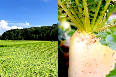 《予約受付》1月下旬～3月下旬に発送 いぶりがっこ スライス 150g×2袋 株式会社がっこ クロネコゆうパケット