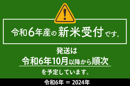 【特別栽培米 炭壌米 あきたこまち】令和6年産 新米 先行受付 白米 10kg