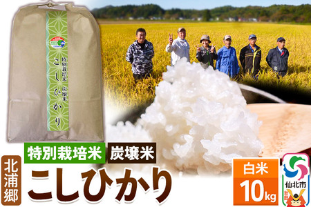 【特別栽培米 炭壌米 こしひかり】令和5年産 白米 10kg