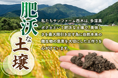 【白米】＜令和6年産 新米予約＞ 秋田県産 あきたこまち 30kg (5kg×6袋) 30キロ お米【2024年秋 収穫後に順次発送開始】