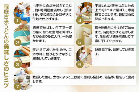 稲庭古来堂 稲庭うどん ご家庭用 田沢湖Ver 17cm 270g×3袋 計810g 1回お届け 伝統製法認定 稲庭古来うどん ゆうパケット