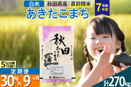 【白米】＜令和7年産＞ 《定期便9ヶ月》秋田県産 あきたこまち 30kg (5kg×6袋)×9回 30キロ お米 匠