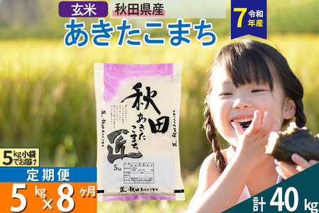 【玄米】＜令和7年産＞ 《定期便8ヶ月》秋田県産 あきたこまち 5kg (5kg×1袋)×8回 5キロ お米 匠