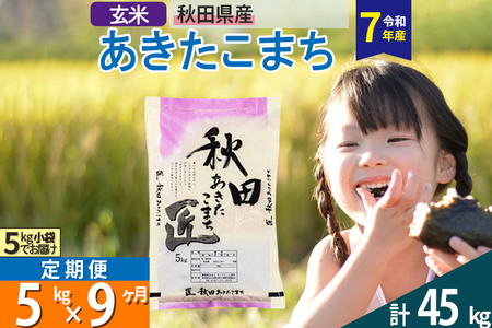 【玄米】＜令和7年産＞ 《定期便9ヶ月》秋田県産 あきたこまち 5kg (5kg×1袋)×9回 5キロ お米 匠