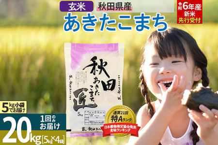 米/穀物お米 令和元年 愛媛県産あきたこまち 玄米 20kg - 米/穀物