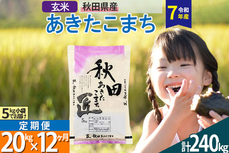 【玄米】＜令和7年産＞ 《定期便12ヶ月》秋田県産 あきたこまち 20kg (5kg×4袋)×12回 20キロ お米 匠