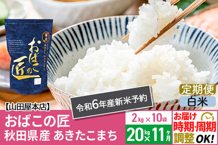 白米】《定期便11ヶ月》令和4年産 仙北市産 おばこの匠 20kg×11回 計