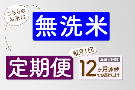 【無洗米】＜令和7年産 新米予約＞《定期便12ヶ月》秋田県産 あきたこまち 5kg (5kg×1袋) ×12回 5キロ お米【お届け周期調整 隔月お届けも可】 新米