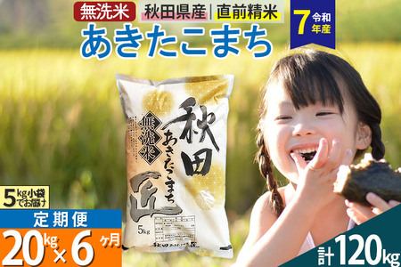 【無洗米】＜令和7年産＞《定期便6ヶ月》秋田県産 あきたこまち 20kg (5kg×4袋) ×6回 20キロ お米 匠 24,500円
