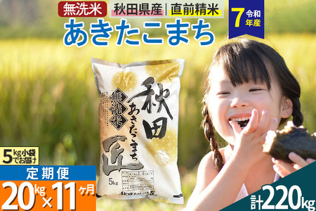 【無洗米】＜令和7年産＞《定期便11ヶ月》秋田県産 あきたこまち 20kg (5kg×4袋) ×11回 20キロ お米 匠